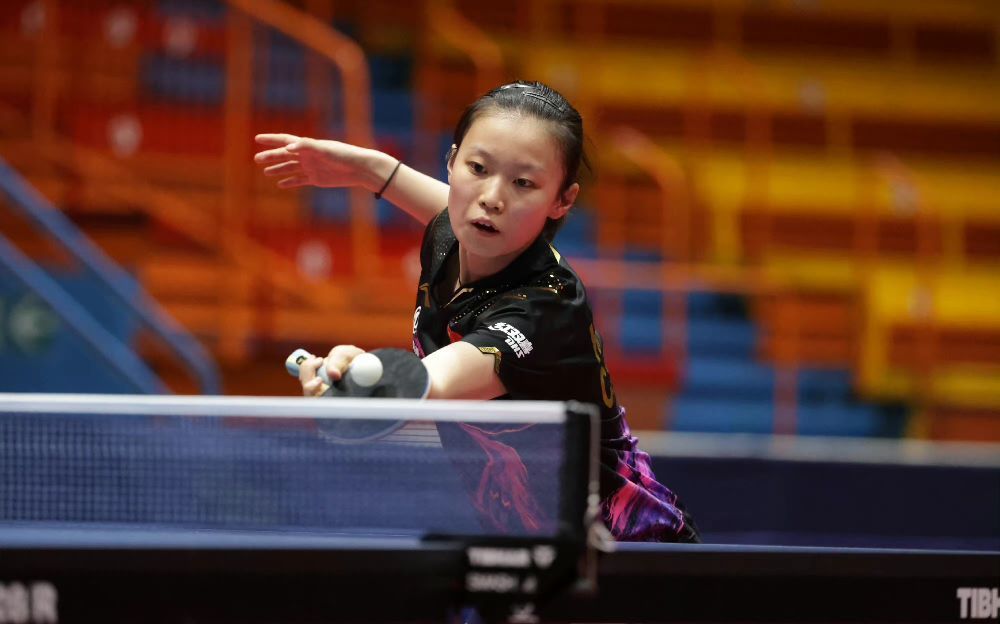 的借鉴意义 的借鉴意义