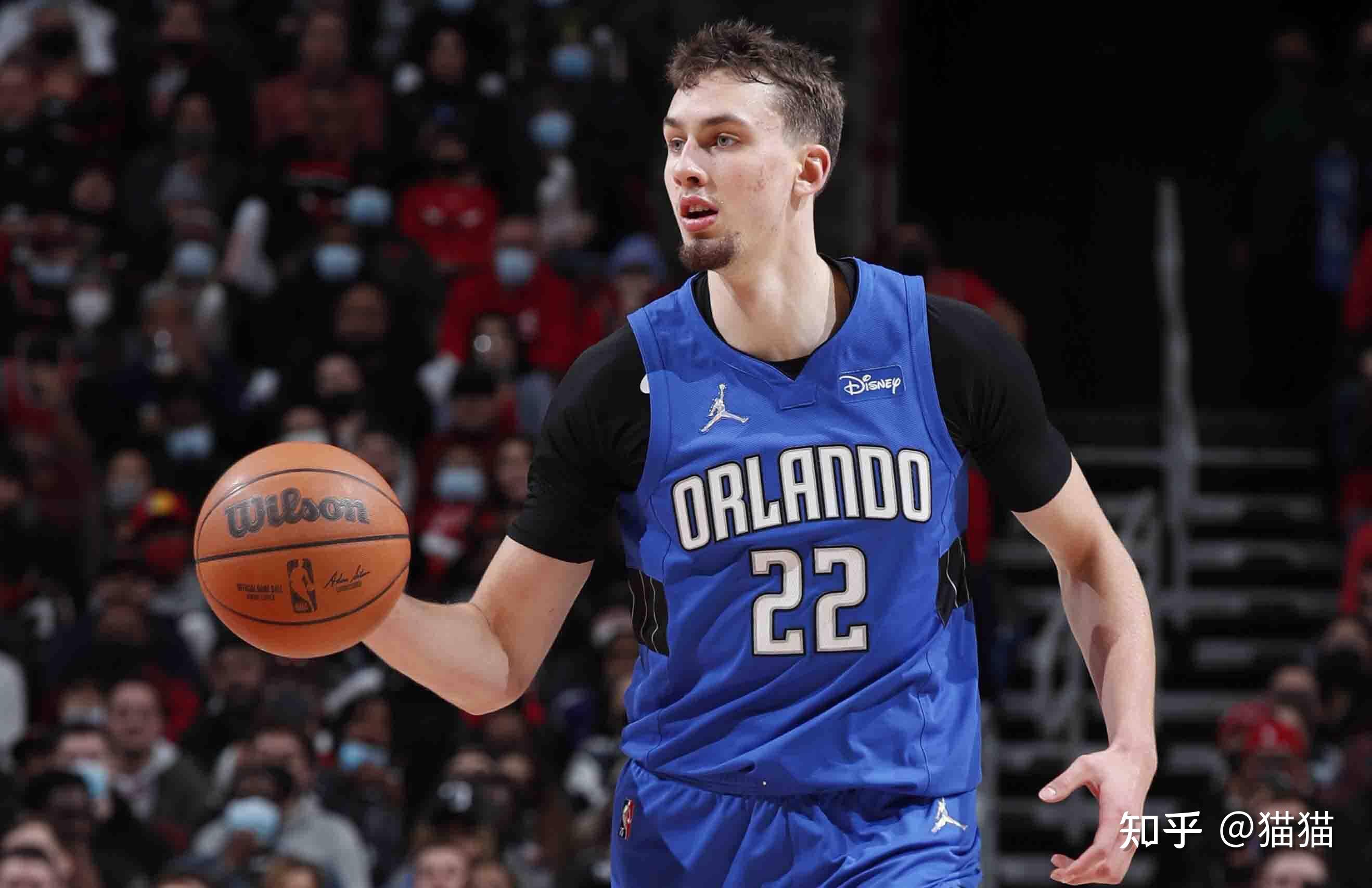 迪布林的未 迪布林的未