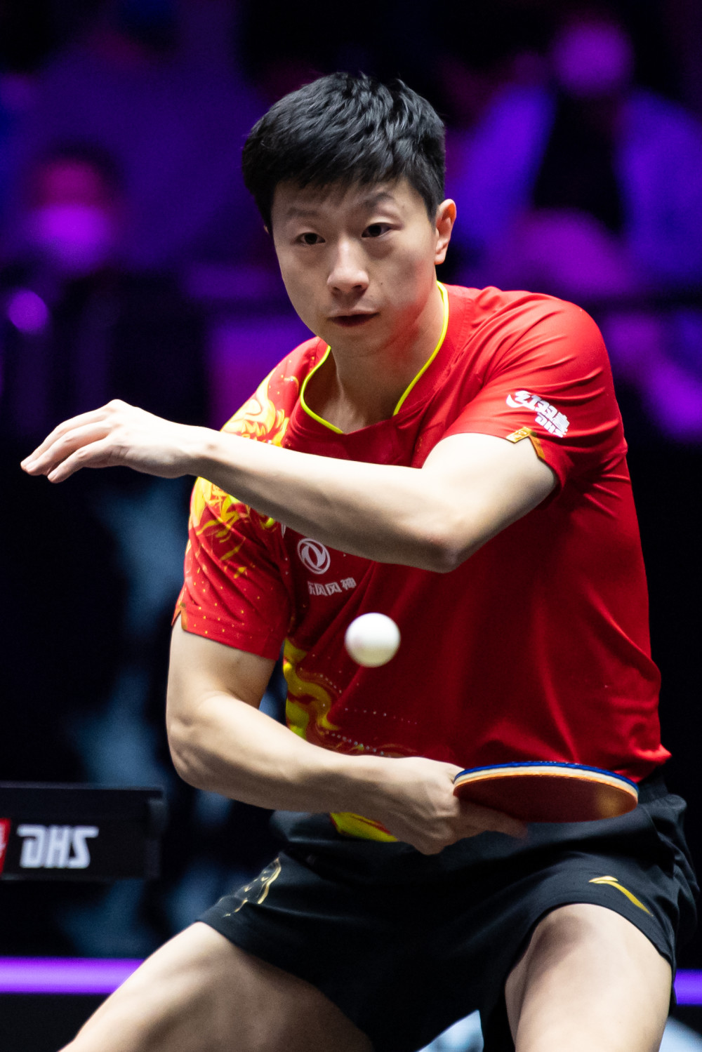 启示也很直 启示也很直